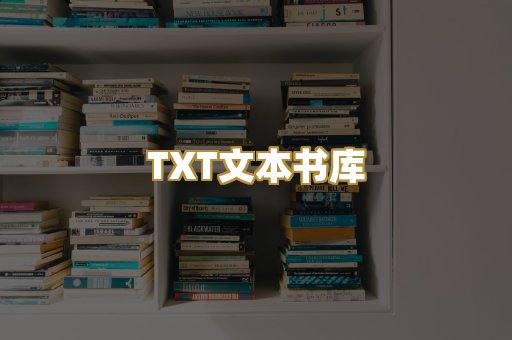 TXT文本书库
